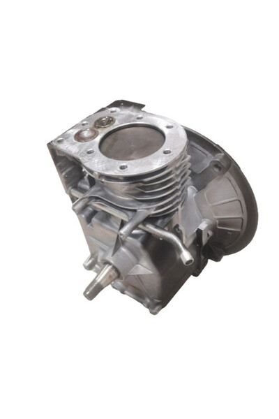 Universal Bloc motor echipat Briggs & Stratton 398211 (piston de 65 mm)