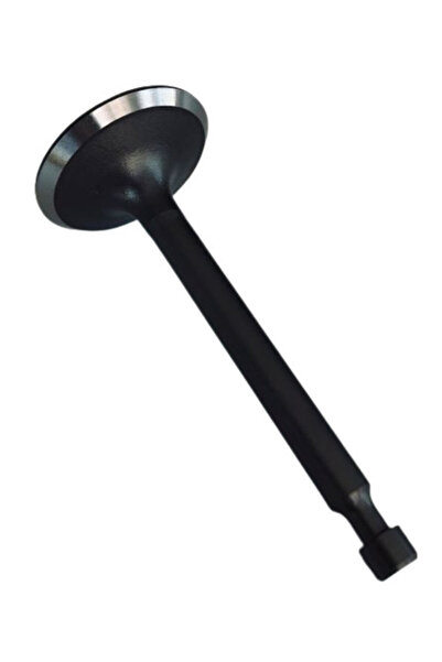 China Supapa de evacuare Zongshen XP200