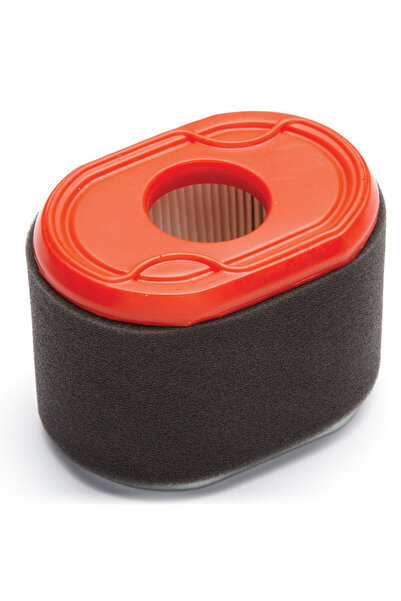 China Filtru de aer motor Briggs & Stratton 796970