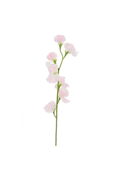 MAPLE LEAF عصا منزلية، زهرة البازلاء الحلوة الوردية، 64 سم