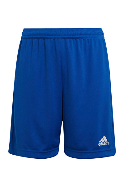 adidas Αθλητικό Σορτς για Αγόρια Πολύχρωμο PERFORMANCE & CORE-HG6291 ROYBLU