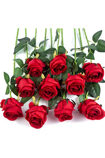 ALAYRA International 10 قطع من الورود الحريرية الحمراء ذات السيقان الطويلة، زهور صناعية بطول 52 سم لحفلات الزفاف وديكور المنزل