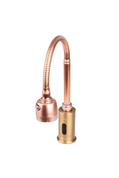 Trendy's Kitchen faucet with sensor, flexible spout, two-function aerator, antiqued bronze