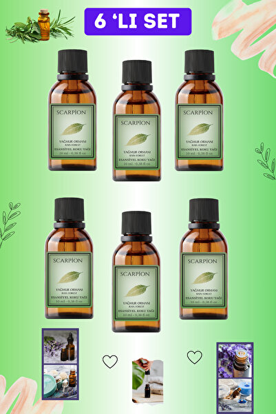 SCARPİON Yağmur Ormanları Uçucu koku Yağı Hava Nemlendiriciler için Oda Kokus...