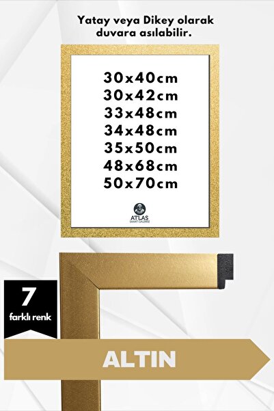 AtlasSG 21lik Poster Puzzle Resim Çerçevesi PVCli Çerçeve Altın