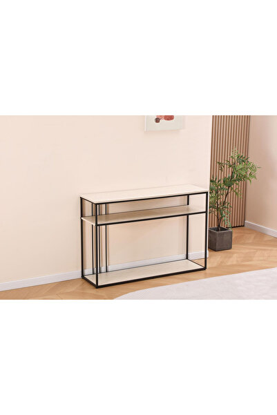 DEC30 Modern console with a luxurious and distinctive design