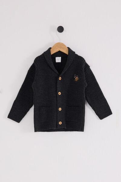 U.S. Polo Assn. Erkek Bebek Triko Hırka