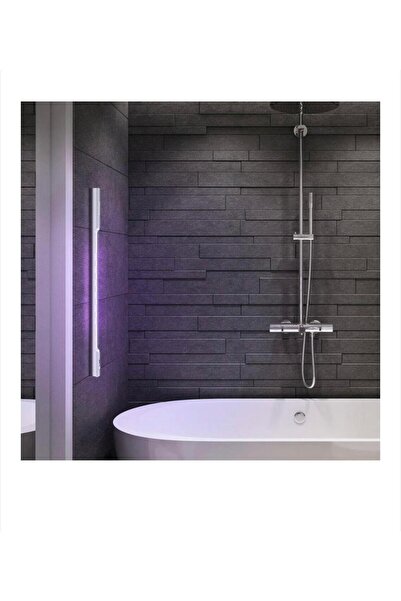 BlitzWolf UV Lamp BW-FUN6, Motion Sensor, 170 lm, 2600 mAh, Gray