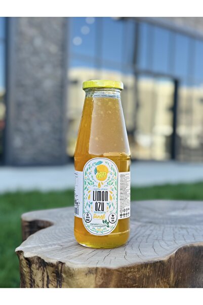 Karadut Dünyası Taneli Limon Özü 950 gr