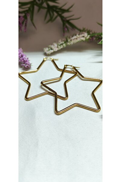 laniva bags Paslanmaz çelik yıldız küpe