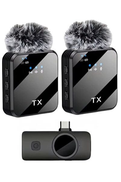 Skygo Zr1027 F12 Type-C Dual Microphone