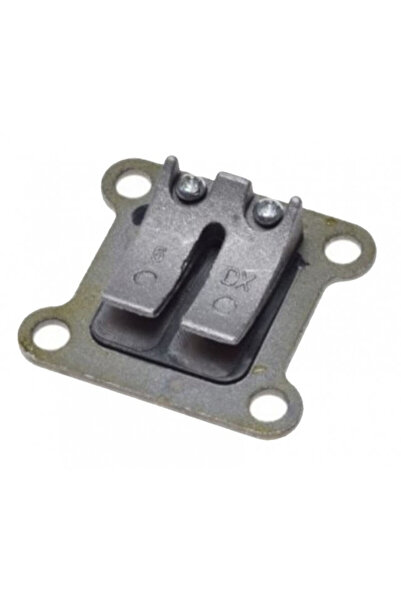 China Pocket Bike Muzicuță