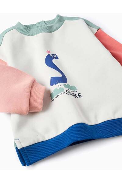 Ziddy Brushed Sweatshirt with Colour Block for Baby Boys 'Snake', Multicolour