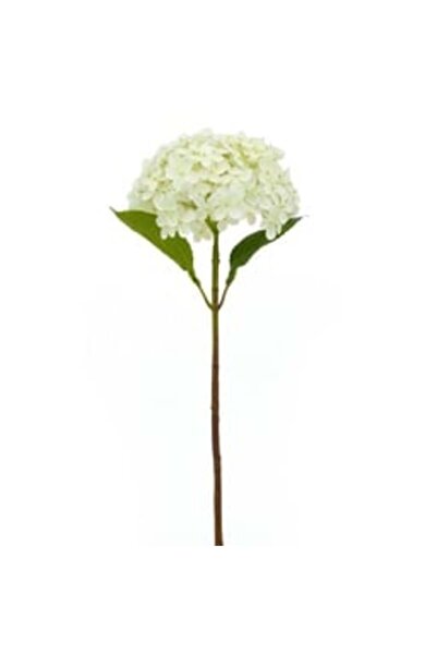 MAPLE LEAF Home Stick Flower Hydrangea Beige, 63 cm