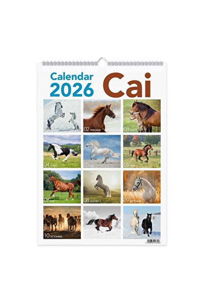 Libra Calendar 2026 Cai, 13 File, Carton Lucios, 32x45 cm