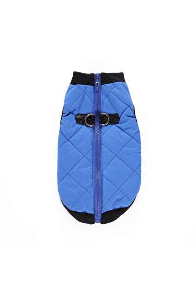 fara marca Vesta pentru catei albasrtu S 26cm lungime