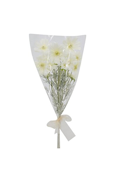 MAPLE LEAF Cosmos Bouquet 60cm Cream