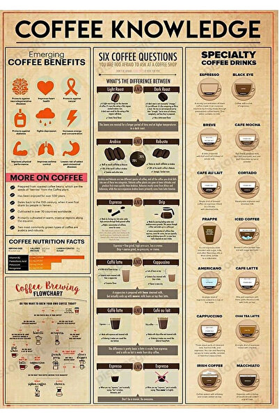 TELLGRAF ملصق بتصميم الشاي والقهوة (21x30 سم)