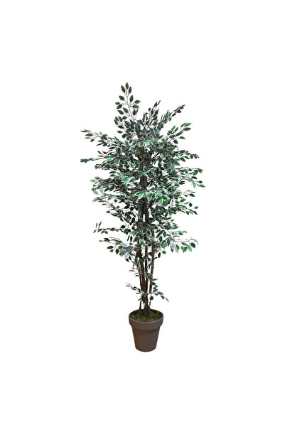 Dekorsende Yapay Alacalı Benjamin Ağacı 170 cm