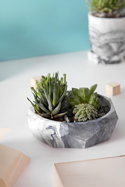 betonmall Çok Amaçlı El Yapımı Fasetli Beton Kase/Tabak | Sukulent Saksısı, M...