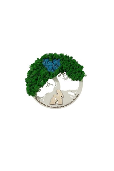ALVAL Decorative frame with stabilized moss