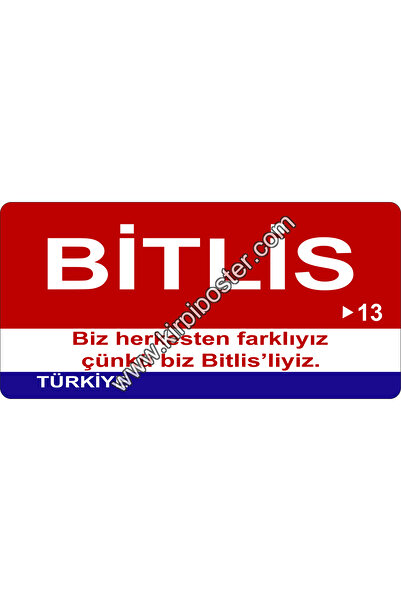 kirpi poster Ahşap Magnet Şehir-İl Plakalı Magnet-06x09cm - Bitlis-13