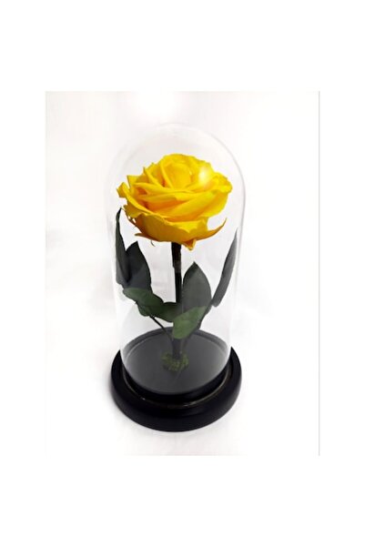 OEM Premium Yellow Cryogenated Rose in Glass Dome, 10x20cm