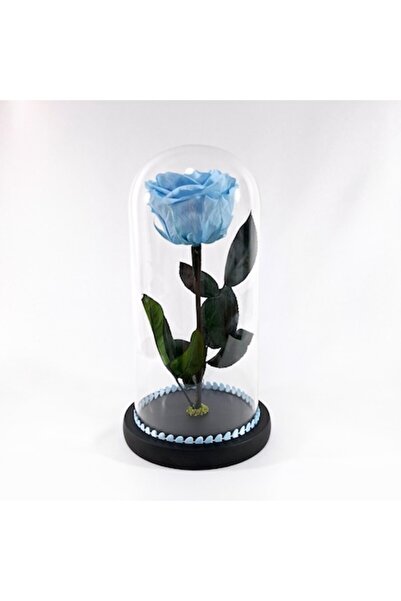 OEM Premium Cryogenated Blue Rose in Glass Dome, 25cm