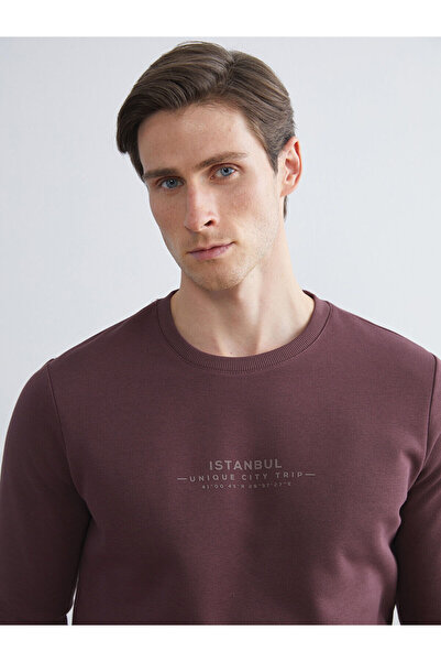 LC Waikiki Peak New Season Crew Neck Printed Men's Sweatshirt