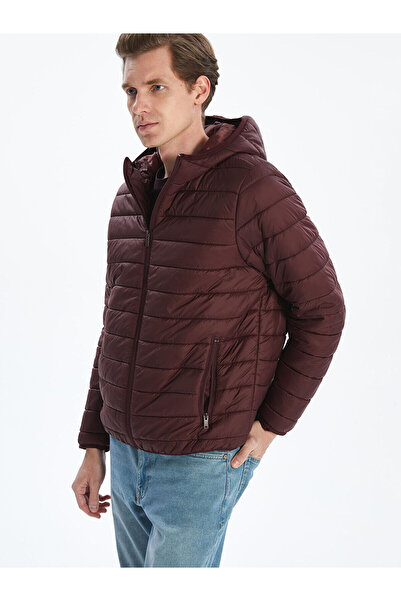 LC Waikiki Vizyon New Season Standard Fit Hooded Men's Puffer Jacket