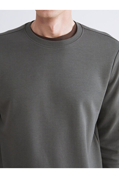 LC Waikiki Ανδρικό φούτερ Crew Neck