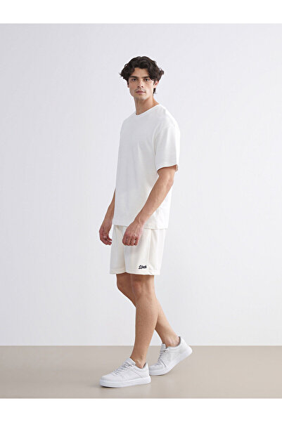 LC Waikiki Vizyon New Season Comfortable Fit Men's Shorts