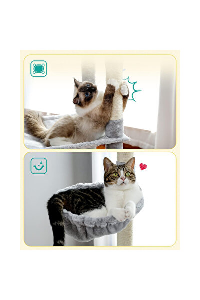 Fish & Paws Ansamblu de joaca pentru pisici,