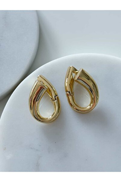 CHARMLUCKY Steel Curved Earrings