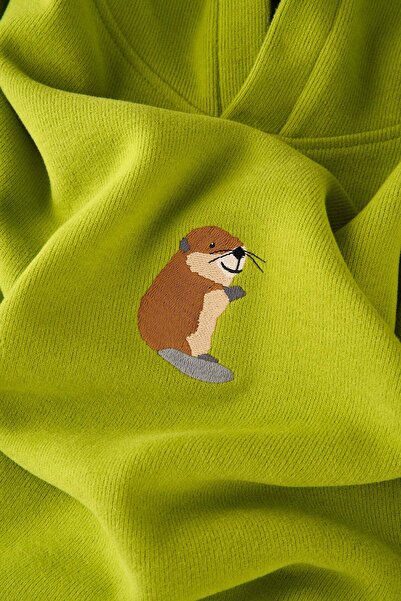 WWF Market Yavru Kunduz Supersoft Hoodie - Pistachio Green