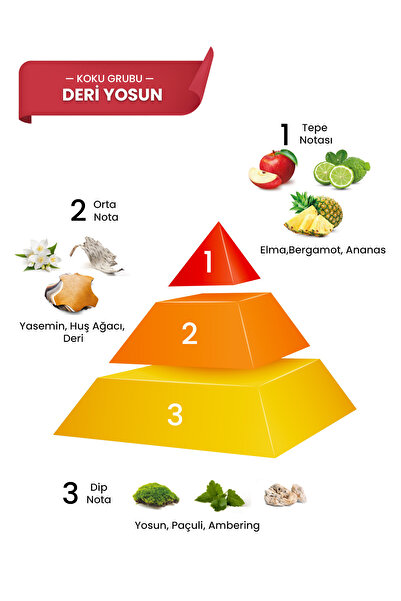 prova Advantage Edp Erkek Parfüm 120 ml