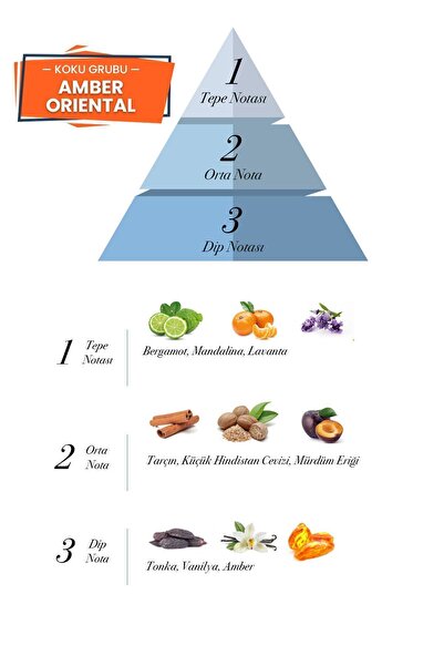 prova Gold Men Edp Amber Erkek Parfüm 100 ml