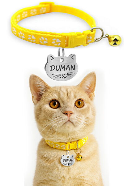 dekoliva Paslanmaz Çelik İsimlik ve Kedi Tasması Seti