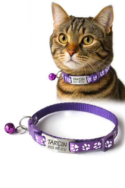 dekoliva Sallanmayan Kedi Tasması Metal Isimlikli Telefon Numarası Yazılı