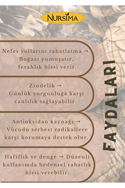 Nursima Kozalak Macunu Doğal Organik Bitkisel Karışım 420 gr