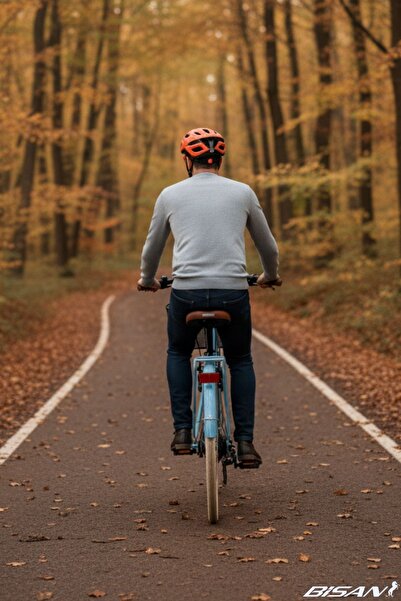 Bisan BİSAN SORRENTO ŞEHİR BİSİKLETİ 44 CM V 28 JANT 3 VİTES BEBEK MAVİSİ SİLVER