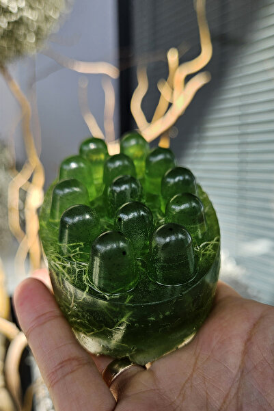 Zencefil Organik صابون مقوي للتدليك يحتوي على مستخلص الأعشاب البحرية النقية وألياف اليقطين وزيت كستناء الحصان وزيت الروزماري