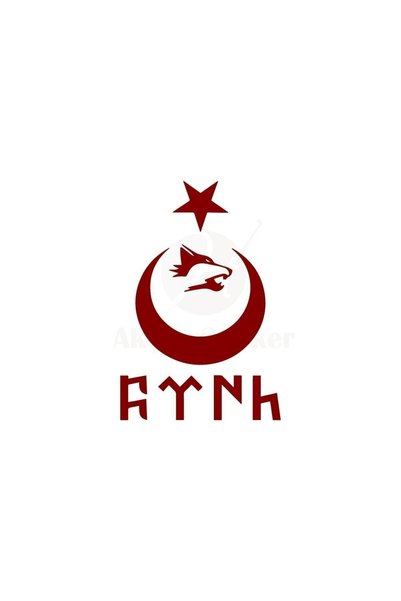 pınaxar Moon Star Wolf Gokturkish Turkish Auto Sticker Red 40X26 cm