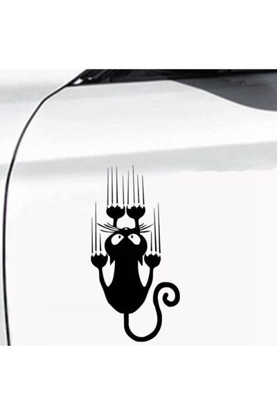 pınaxar Funny Cartoon Cat Design Auto Custom New Sticker Black 12*24 cm