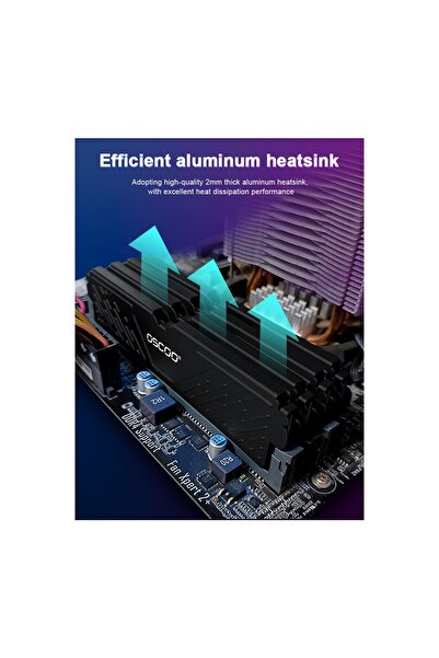 Oscoo Black Warrior E500 32GB 5600MHZ CL46 Ddr5 1.1V Ram