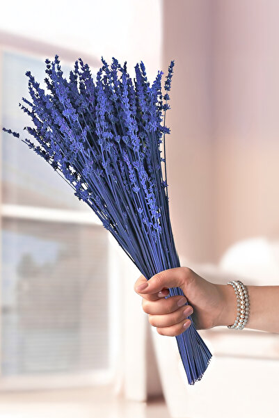 Shocked Unspillable Real Lavender PURPLE