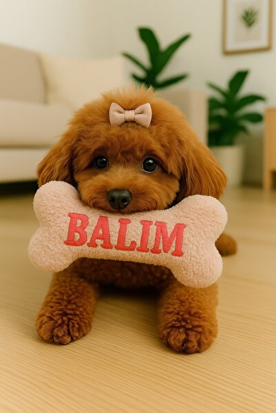ULUBEN İsimli Nakış İşlemeli Peluş Kemik Oyuncak İsime Kişiye Özel Wellsoft Yıkanabilir Köpek Kemiği