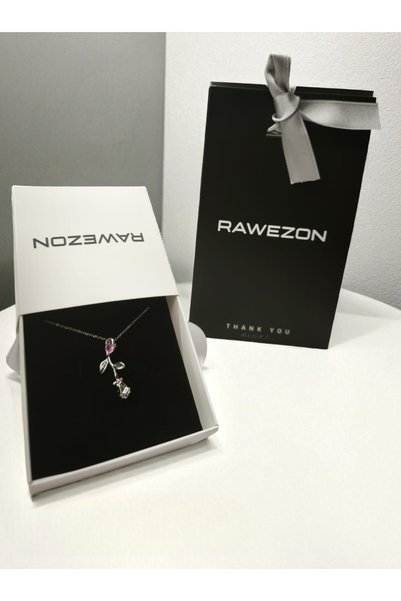 RAWEZON Rose Steel Necklace with Heart Stone Detail Boxed Package |   Special Gift Jewelry for Your Loved Ones