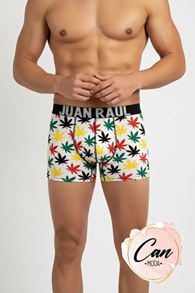 Juan Raul Multicolored Leaf Patterned Men's Boxers - Db260