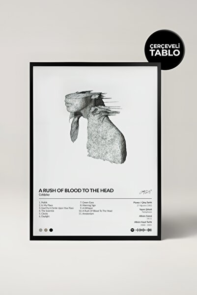 House Gorgeous Coldplay A Rush of Blood to the Head Album Pictură cu design d...